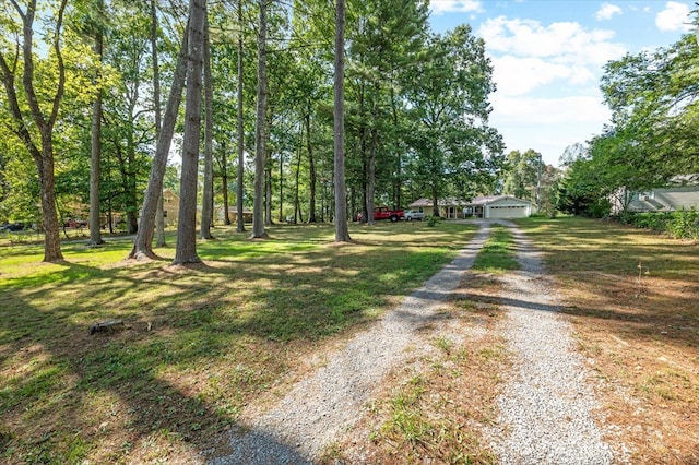 view of road with driveway