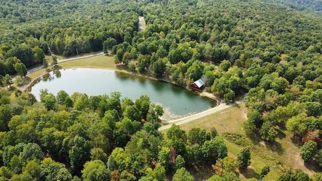 birds eye view of property with a water view and a forest view