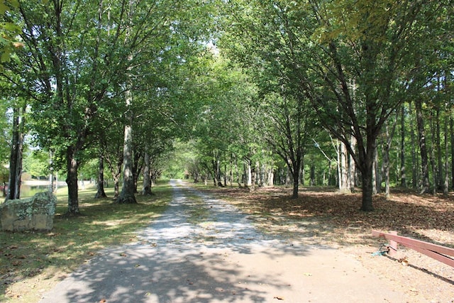 view of road