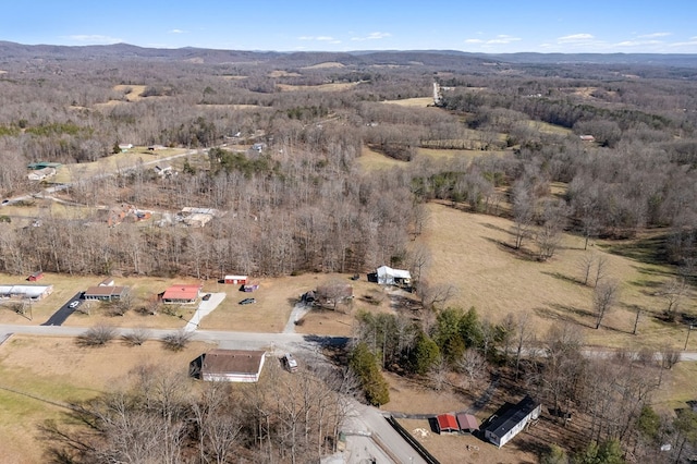 bird's eye view featuring a mountain view