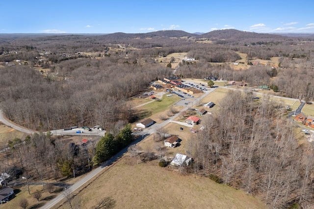 drone / aerial view featuring a mountain view