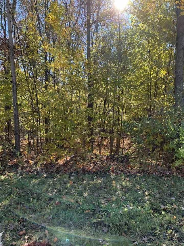 0 Stonebrook Ln, Flushing, MI 48433