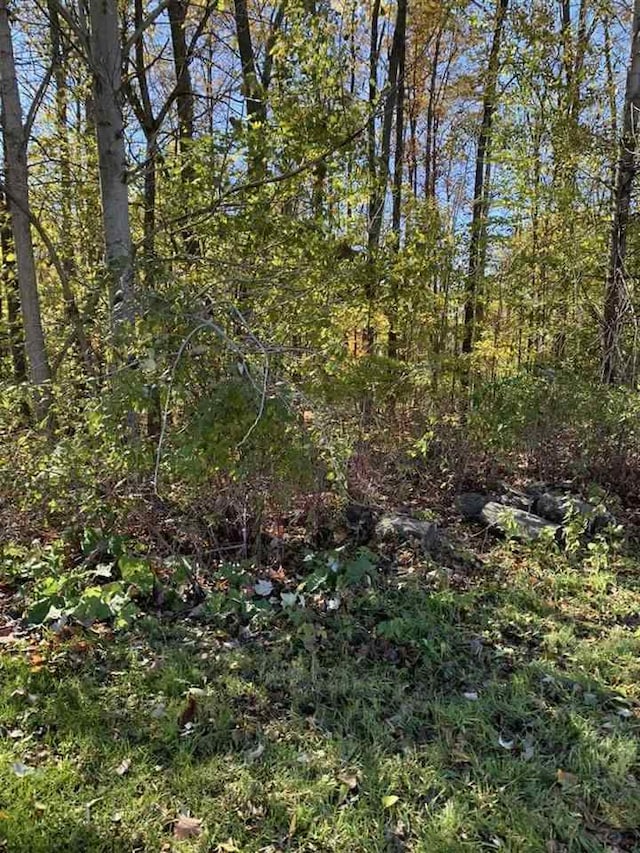 0 Stonebrook Ln, Flushing, MI 48433