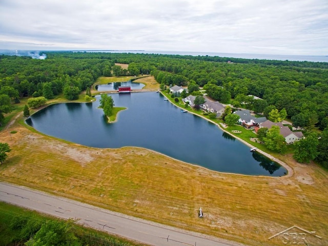 5785 Dublin Dr, Caseville, MI 48725