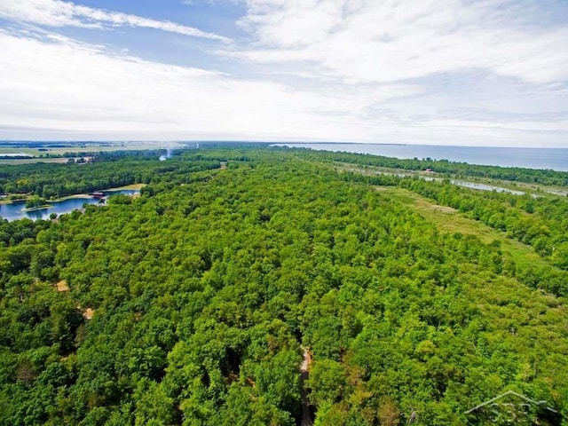5785 Dublin Dr, Caseville, MI 48725