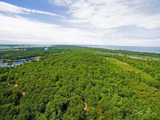 5785 Dublin Dr, Caseville, MI 48725