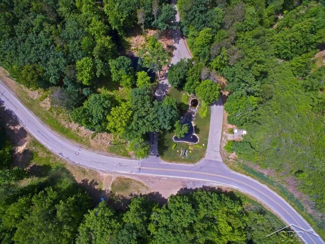 Tipperary Dr, Caseville, MI 48725