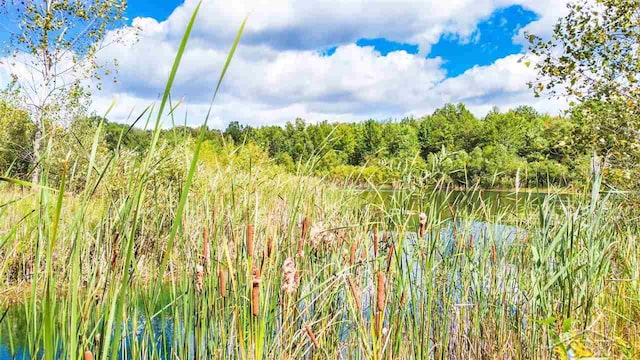16000 Ederer Rd, Hemlock, MI 48626 - photo 2