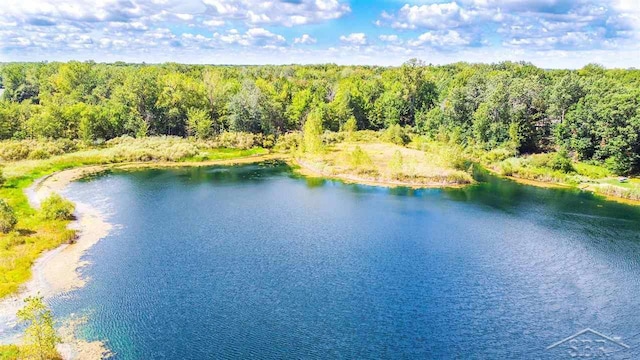 16000 Ederer Rd, Hemlock, MI 48626 - photo 3