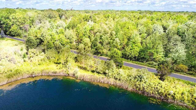 16000 Ederer Rd, Hemlock, MI 48626 - photo 4