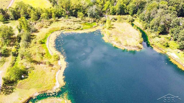 16000 Ederer Rd, Hemlock, MI 48626 - photo 6
