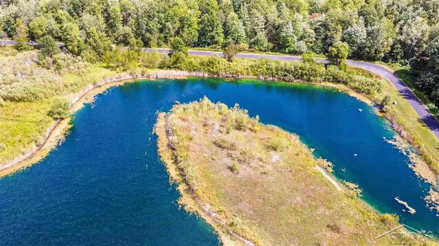 16000 Ederer Rd, Hemlock, MI 48626 - photo 8
