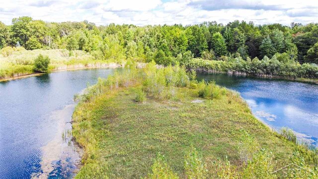 16000 Ederer Rd, Hemlock, MI 48626 - photo 11