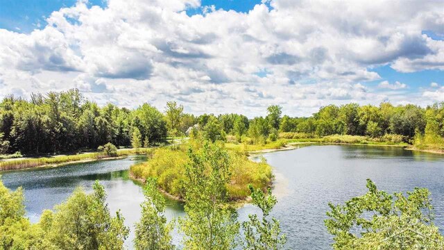 16000 Ederer Rd, Hemlock, MI 48626 - photo 12