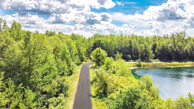 16000 Ederer Rd, Hemlock, MI 48626 - photo 13