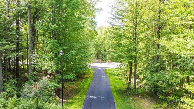 16000 Ederer Rd, Hemlock, MI 48626 - photo 15