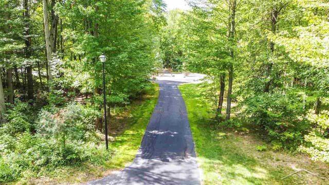 16000 Ederer Rd, Hemlock, MI 48626 - photo 16