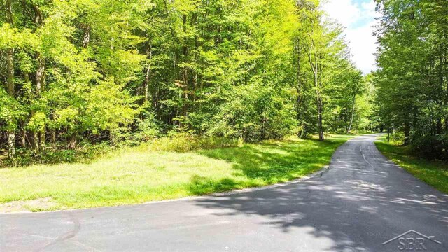 16000 Ederer Rd, Hemlock, MI 48626 - photo 17