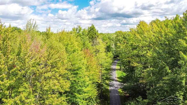 16000 Ederer Rd, Hemlock, MI 48626 - photo 18