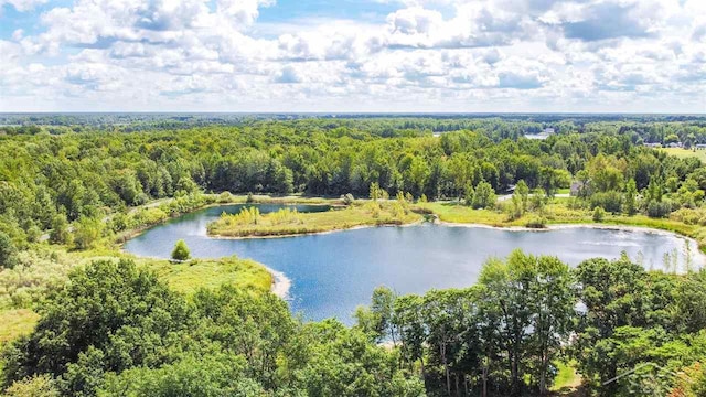 16000 Ederer Rd, Hemlock, MI 48626 - photo 19