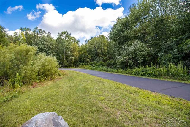 16000 Ederer Rd, Hemlock, MI 48626 - photo 22