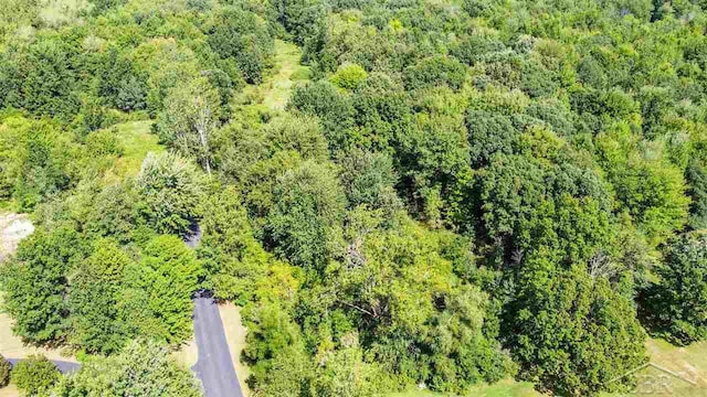 1264 S Hemlock Dr, Hemlock, MI 48626