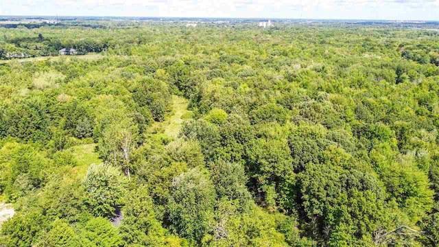 1264 S Hemlock Dr, Hemlock, MI 48626