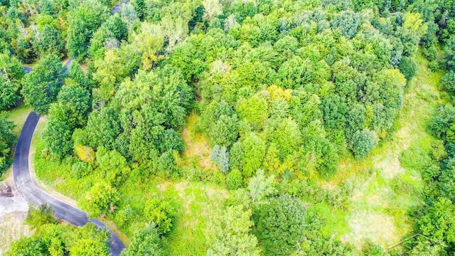 1264 S Hemlock Dr, Hemlock, MI 48626