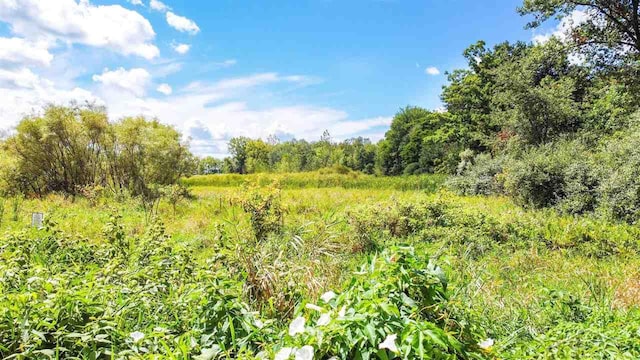 LOT25 Northern Pintail Dr, Hemlock MI, 48626 land for sale