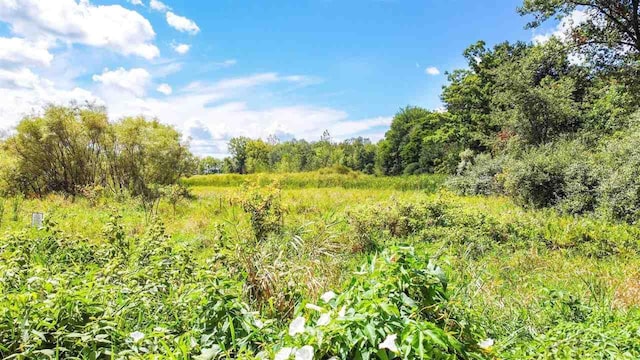 LOT25 Northern Pintail Dr, Hemlock, MI 48626