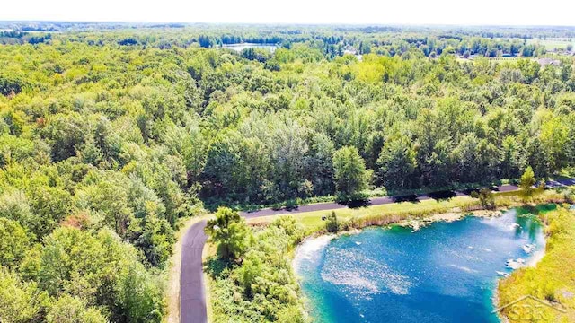 6 Widgeon Way, Hemlock MI, 48626 land for sale