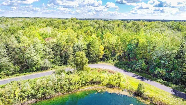 5 Widgeon Way, Hemlock MI, 48626 land for sale