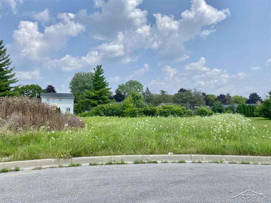 Fieldstone Ln, Saginaw, MI 48603 - photo 4