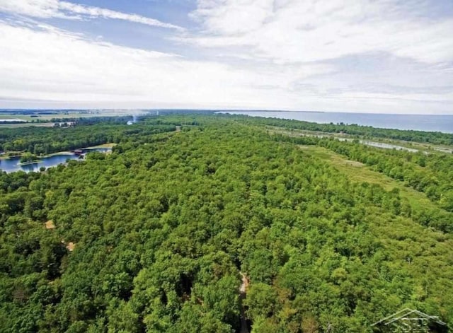 5715 County Kerry Dr, Caseville, MI 48725