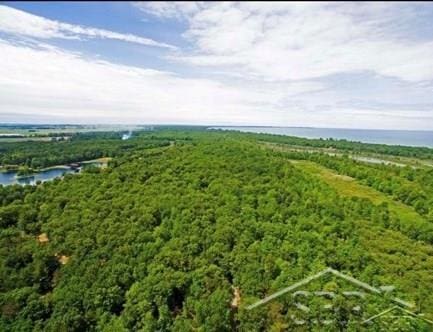 5715 County Kerry Dr, Caseville, MI 48725