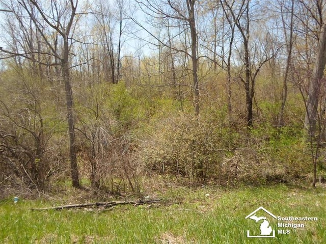 1 E Main St, Milan, MI 48160