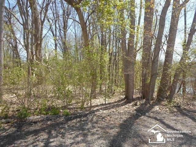 1 E Main St, Milan, MI 48160