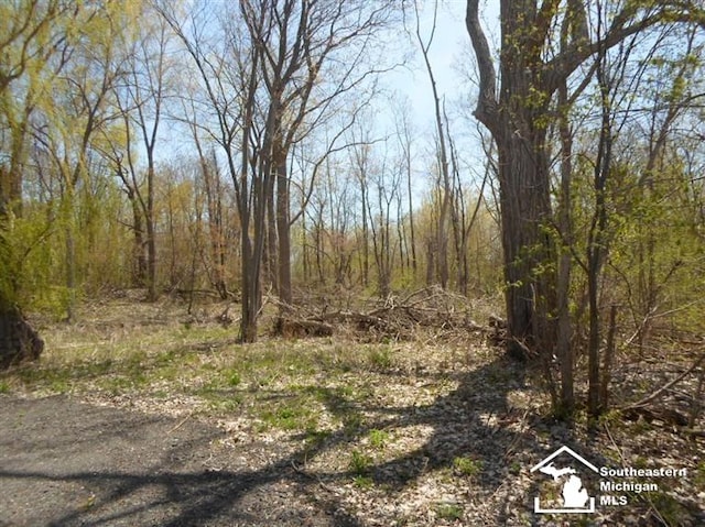 1 E Main St, Milan, MI 48160