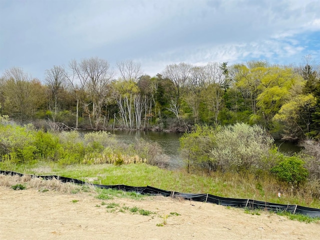 4290 Duck Dr Unit 18, Ann Arbor, MI 48103 - view of nature