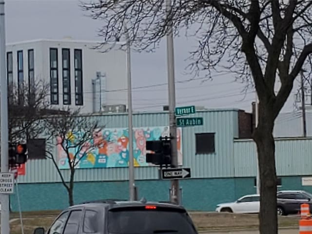 2133 E Vernor, Detroit, MI 48207 - photo 5