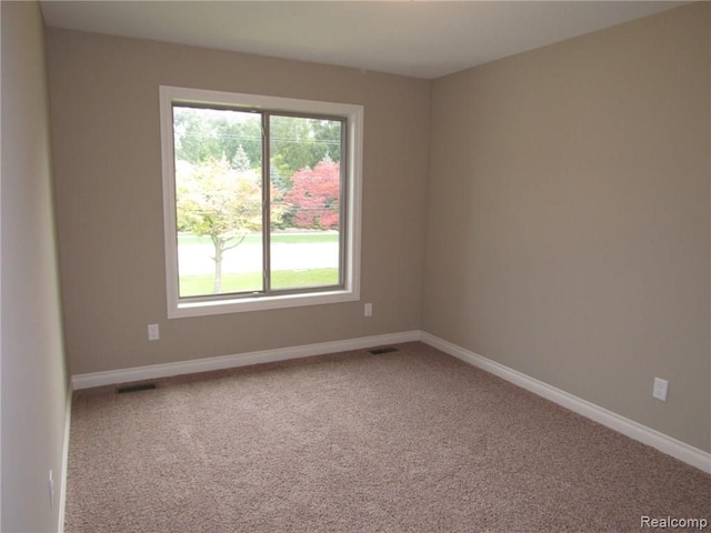 empty room with carpet and a wealth of natural light