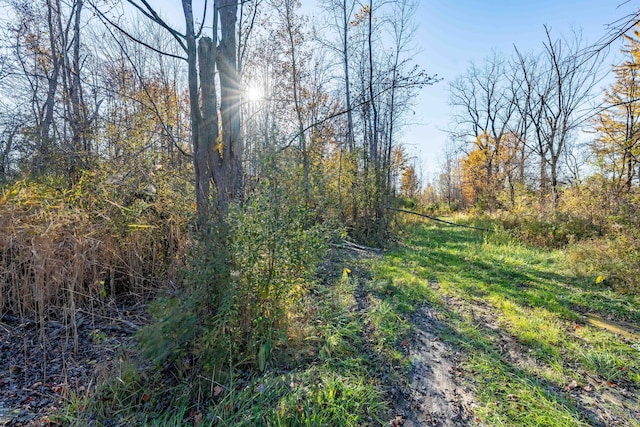 00 S Forest, Lenox, MI 48050