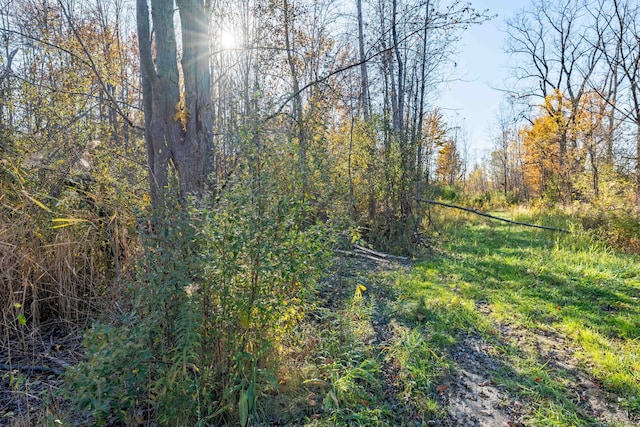 00 S Forest, Lenox, MI 48050
