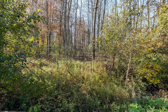 00 S Forest, Lenox, MI 48050