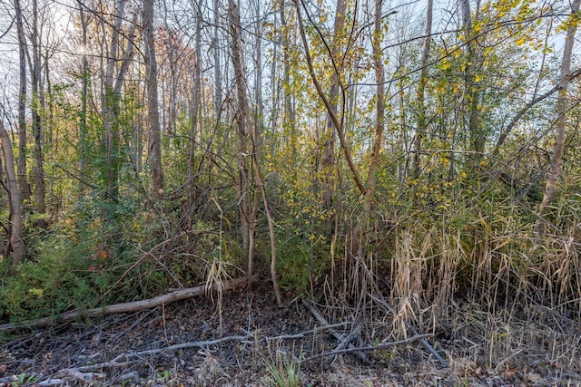 00 S Forest, Lenox, MI 48050