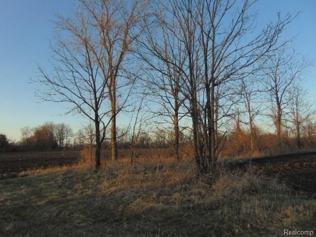 73636 Mc Kay Rd, Bruce, MI 48065