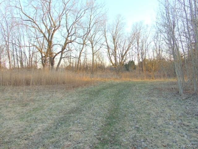 73636 Mc Kay Rd, Bruce, MI 48065