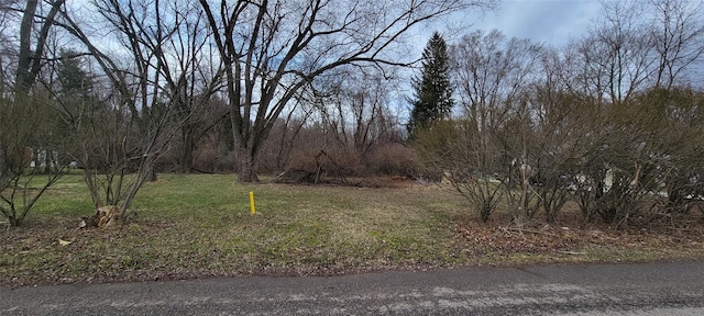 000 Mcallister, Southfield MI, 48033 land for sale