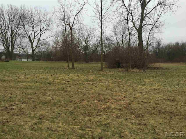 8300BLK Irish Mist Rd, Onsted, MI 49265