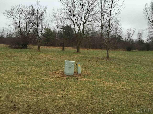 8300BLK Irish Mist Rd, Onsted, MI 49265